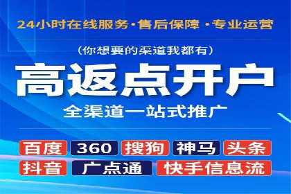 案例解析：揭秘高效竞价推广技巧